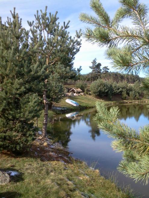 Etangs de Bergougnoux